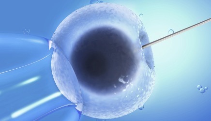 关于三代试管生男孩